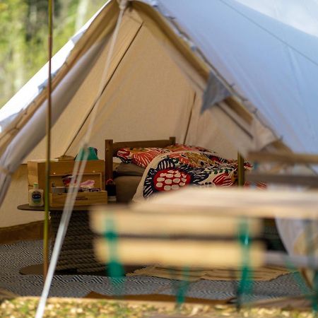 Naturally Glamping Kingsteignton Dış mekan fotoğraf