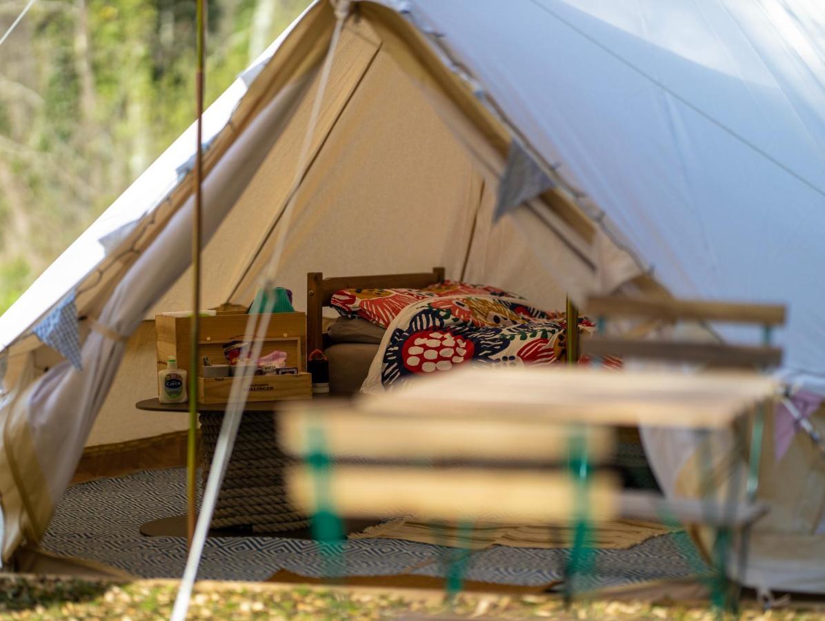 Naturally Glamping Kingsteignton Dış mekan fotoğraf