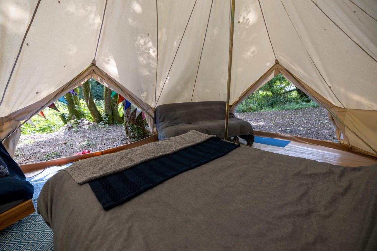 Naturally Glamping Kingsteignton Dış mekan fotoğraf