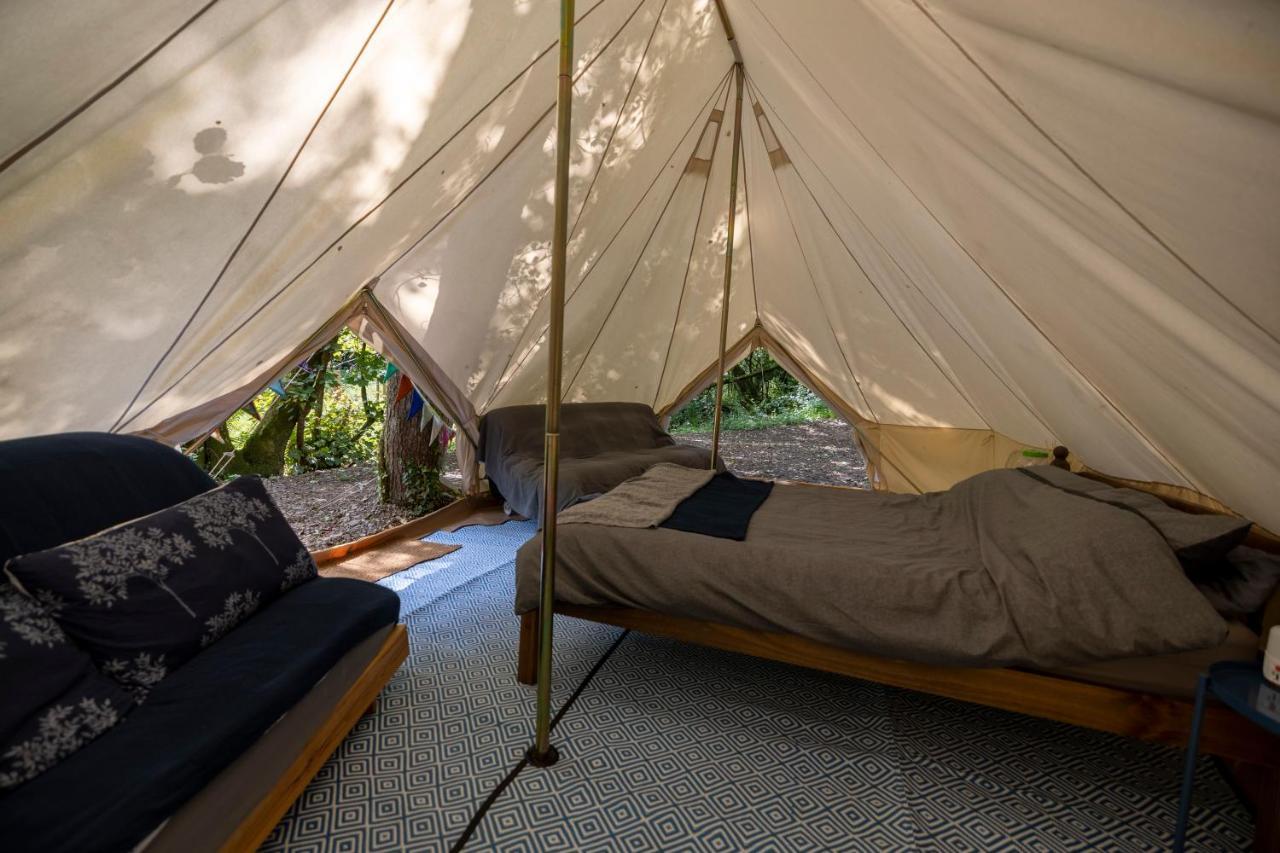 Naturally Glamping Kingsteignton Dış mekan fotoğraf